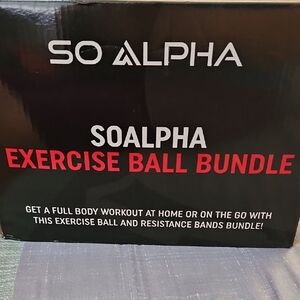 Exercise Ball Bundle - Black